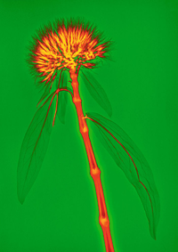 1665214011094.png