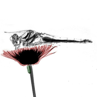 1665214742187.png
