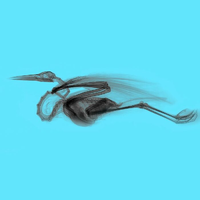 1665214809333.png