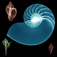 1665214886869.png