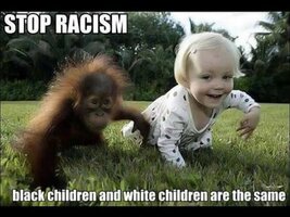 images (52).jpeg images (52).jpeg