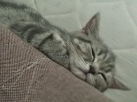 IMG_20221021_215801.jpg