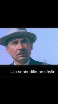 1667484716831.png