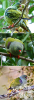 1591724137049.png 1591724137049.png