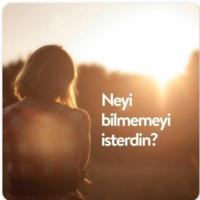 1591768359791.png