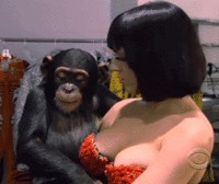 a.gif