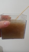 20200612_225013.jpg