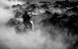 DBA172BF-F95B-4F39-82FF-303763E21F3F.jpeg