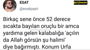 1668153762936.png