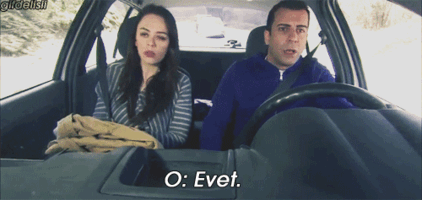 GrayThisAntipodesgreenparakeet-size_restricted.gif
