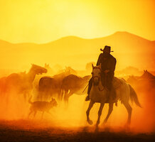 F55664D5-F080-46D4-91AB-0D08D11A40DE.jpeg