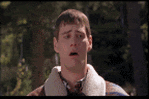 200.gif 200.gif