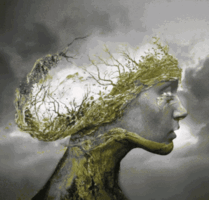 s-9b7b3c42e6f8546e10dd3caa8ddcad5a4e4d1028.gif