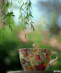 tumblr_n1rl128Uan1s4e9y0o1_400.gif