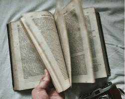 tumblr_93047782a0fc3426112246602997599c_f20a92bd_400.gif