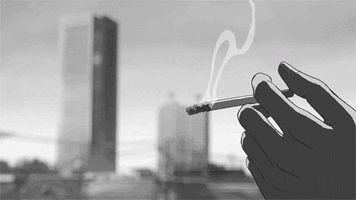 acef160e84108245256b6ceca5b538b2.gif