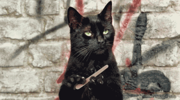 s-db512b08736f39a1297d6b52b2019ae3df2c9a7c.gif