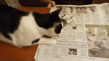 gazete.gif