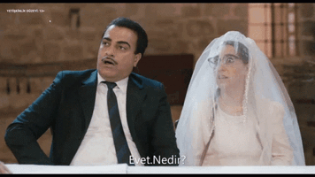 hükümet-kadın-faruk-evet-nedir-evet.gif