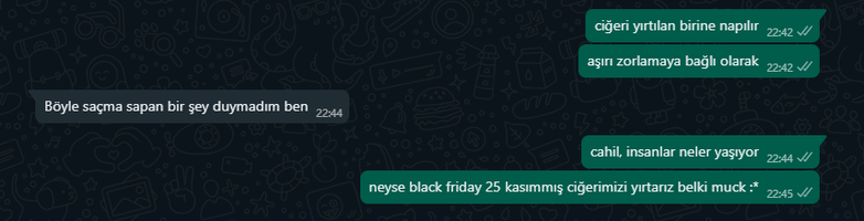 skjssd.png