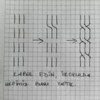 1669558068166.png