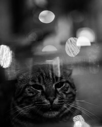6CF8B55D-4090-482C-99B0-8D2342EF598A.jpeg