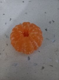 20221211_175235.jpg