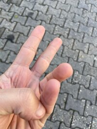 6D47346E-D54C-4D53-AC7C-E48336D85331.jpeg