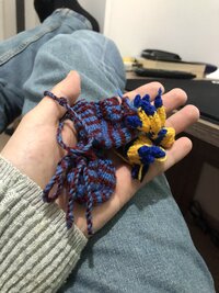 IMG_5214.JPEG