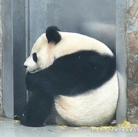 1672092292548.png