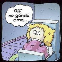 images (6).jpeg