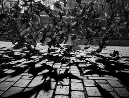 345017DC-FE1C-4B42-B347-CAB0C54E43E1.jpeg