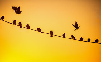 97D13E65-D880-4E01-9EB1-ADF8FCF19697.jpeg