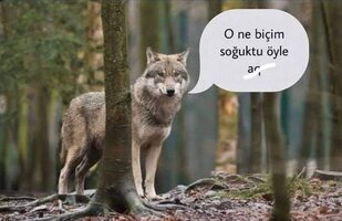 FB_IMG_1672756084525.jpg