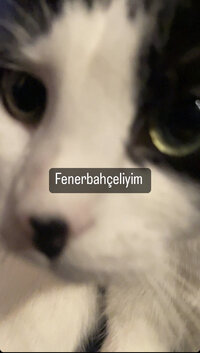 8595BA8C-9BB3-4CE5-99EE-5CA935B76611.jpeg