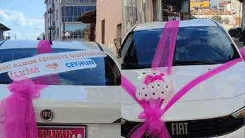 3EA2D5F9-00C4-49F3-AA82-C8BF4FD55359.gif