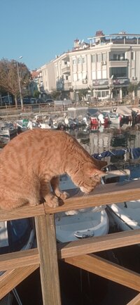 IMG_20230115_094128.jpg