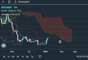 Screenshot_20230129-000206_BtcTurk  PRO.jpg