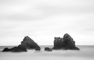 3F8B504F-1571-4B9B-A6B2-FE21E63F8167.jpeg