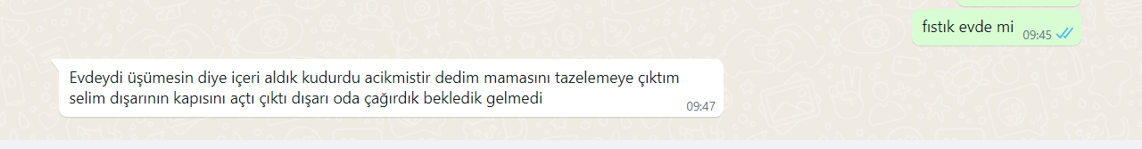 1675666328073.png
