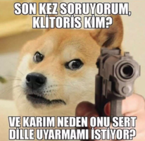 20230227_164627.png