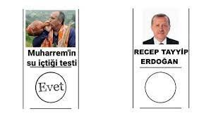 index.jpg