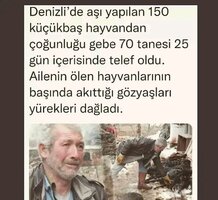 1678694200717.jpg