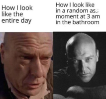 1678913235573.png