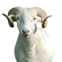 1678981105773.png