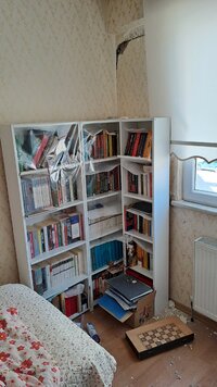 20230224_130456.jpg