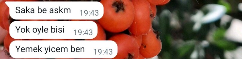 Screenshot_20230321-194341_WhatsApp.jpg