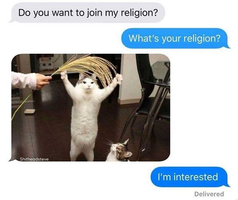 20221020_202145.png
