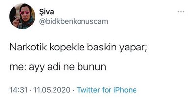 20220405_205831.jpg
