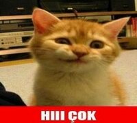 a.jpg